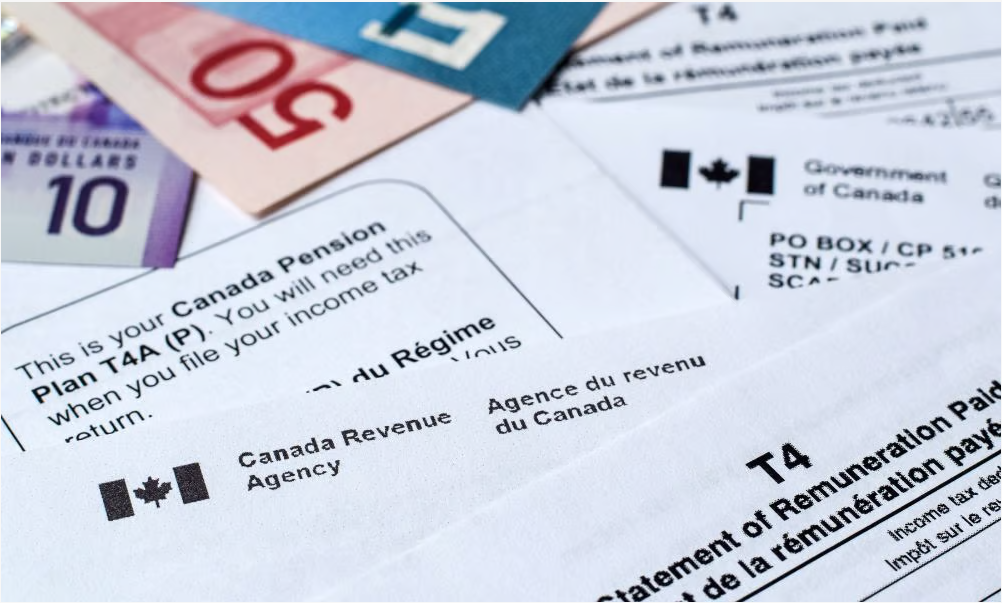 2026年度报税全指南：谁必须报？怎么报？哪些最容易出错