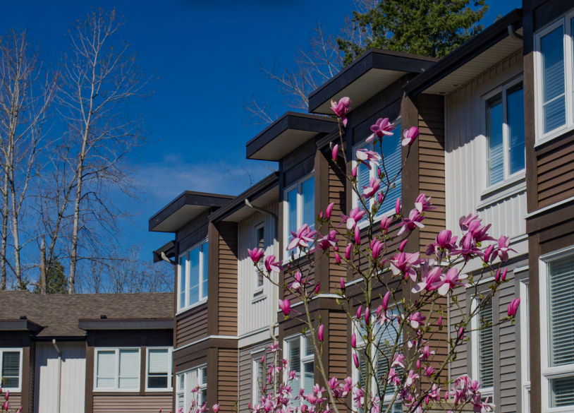 菲沙河谷3月报告：成交量仍低于去年同期，基准价月度小幅上涨！