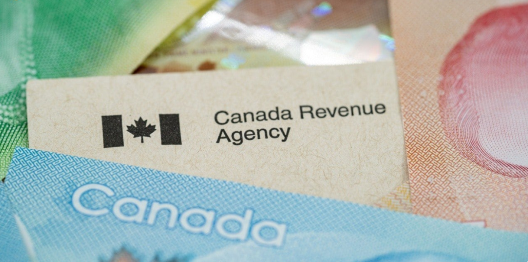 40%加密货币用户涉逃税！CRA出手：明年将立新法严打