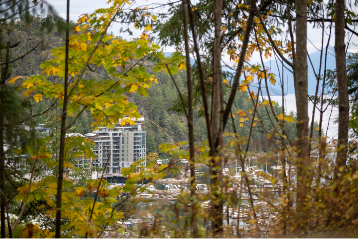 东升西降，温哥华房价十年逆转！“边缘玩家”才是关键变量