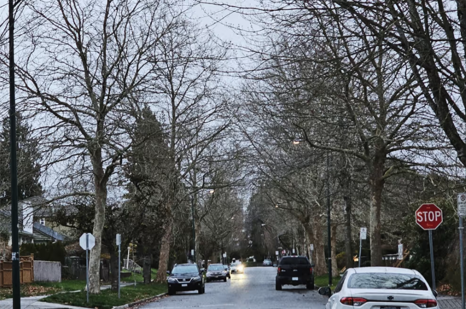 大温本周气温跌破零度！独立屋/联排屋主必做6项“低温准备”