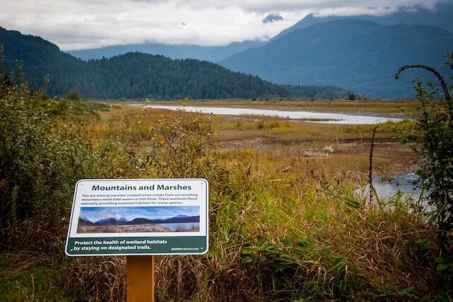 大温新公园上线：纳税人涨地税买单，却不能想去就去？这钱花得值吗？